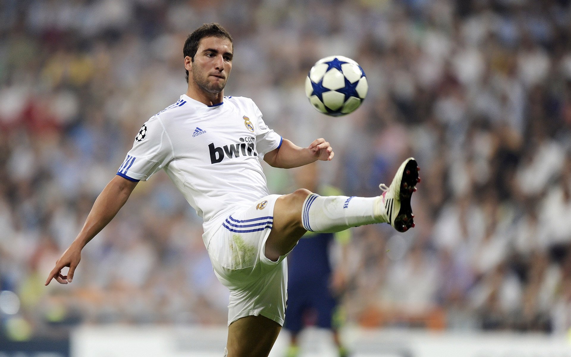 莎拉波娃爆冷击败老鹰，战术调整引爆全场！